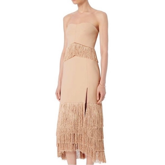 NWT Jonathan Simkhai FW 2016 Nude Fringe Strapless Dress - Picture 1 of 7